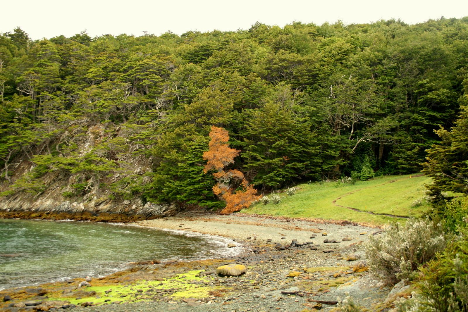 Parque Nacional Tierra del Fuego